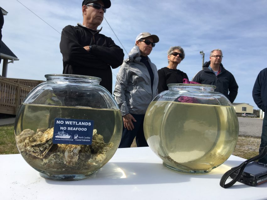 Oyster Eco Tour features local oysters, aquaculture North Carolina