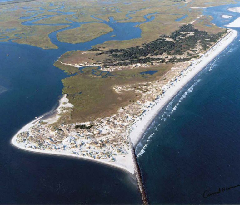 The Bird Island Coastal Reserve North Carolina Coastal Federation