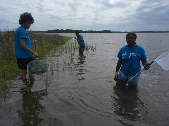 It wasn’t all work though — they also used dip nets to see what was living in the marsh.