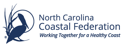 NCCF-logo-web.png
