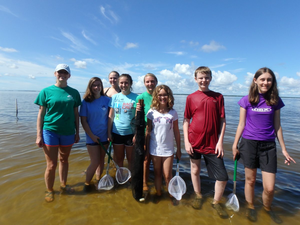 Service in Science 2017 2