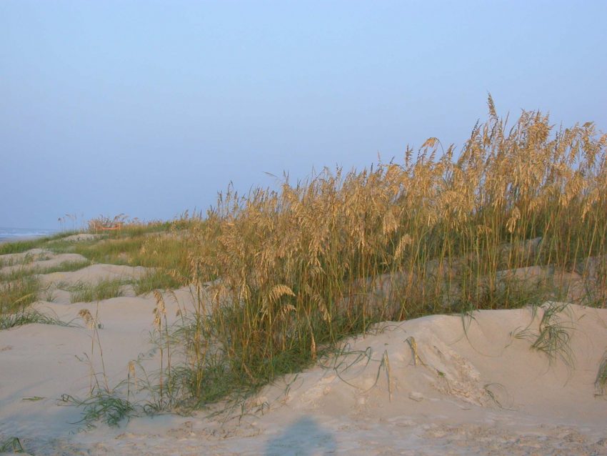 Sand Dunes