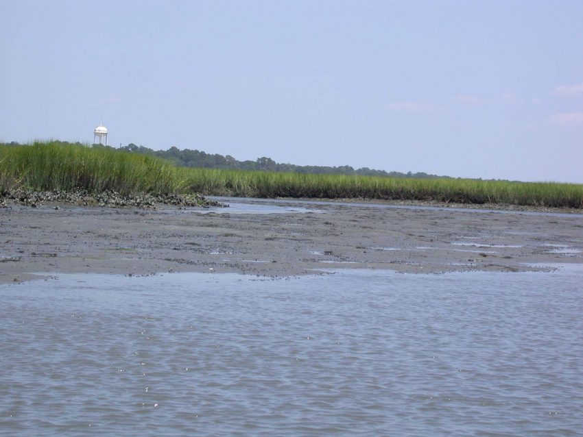 Salt and Mud Flats