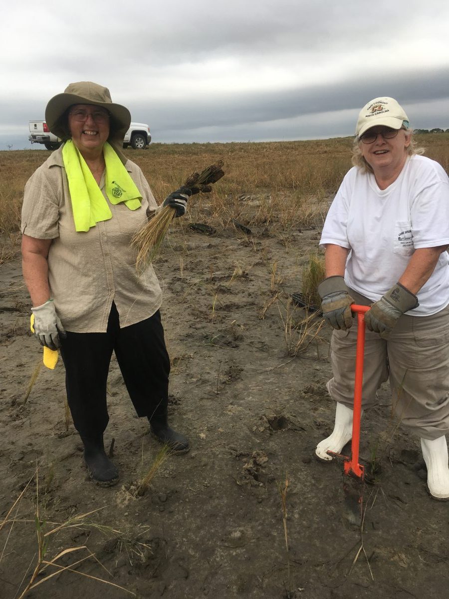 NRWP October PLanting 1