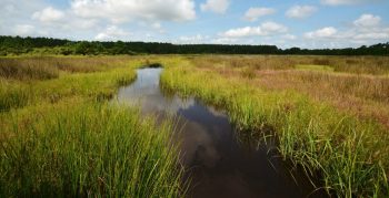 north-river-farms-e1474397191283