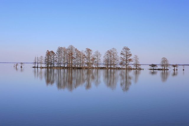 Lake Mattamuskeet