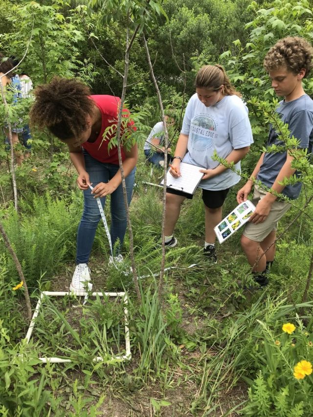 Manteo Middle School