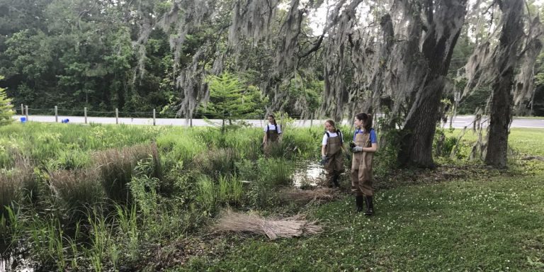 Bradley and Hewletts Creek