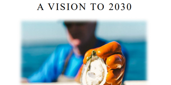 NC Strategic Plan for Shellfish Mariculture Cover of the Strategic plan for Shellfish Mariculture