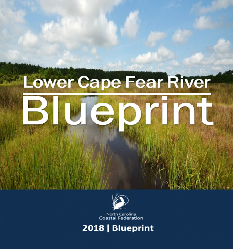 Lower Cape Fear River Blueprint