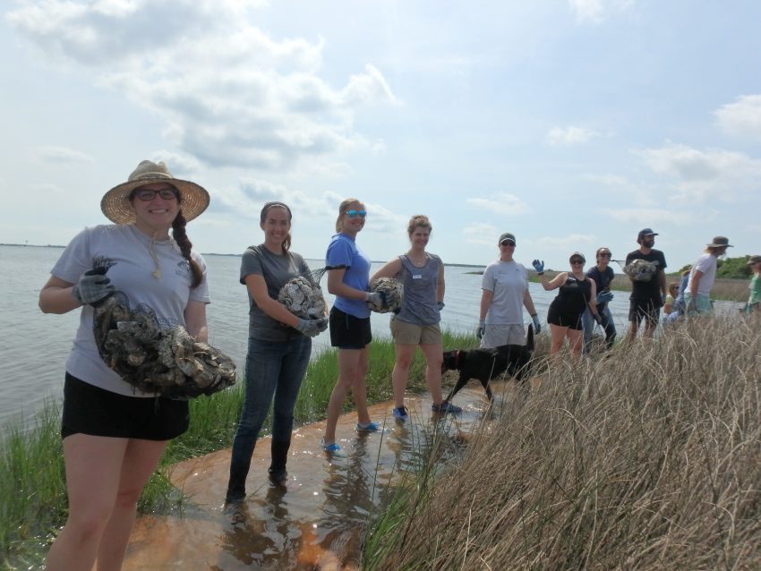 Wanchese office breaks ground with living shoreline projects North Carolina Coastal Federation