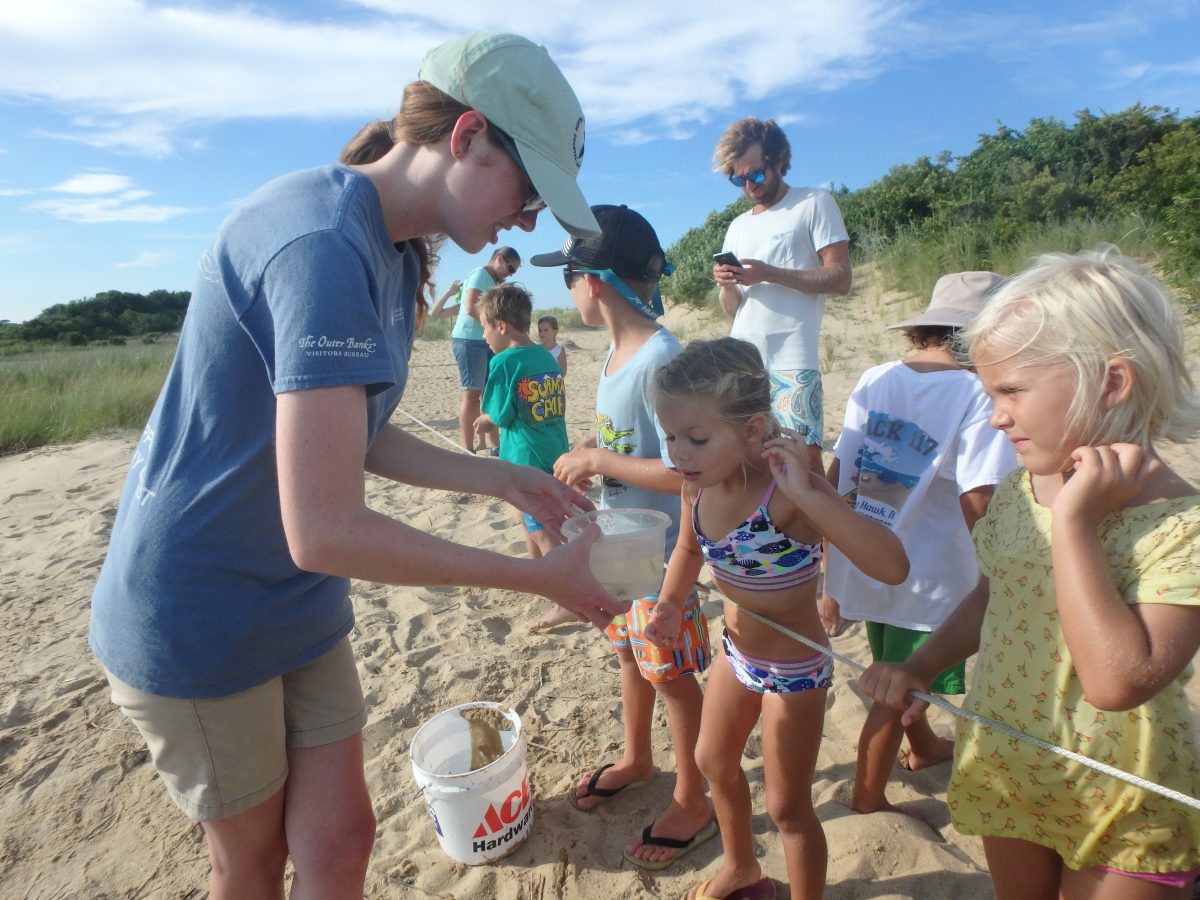 Wanchese office continues working with community groups North Carolina Coastal Federation