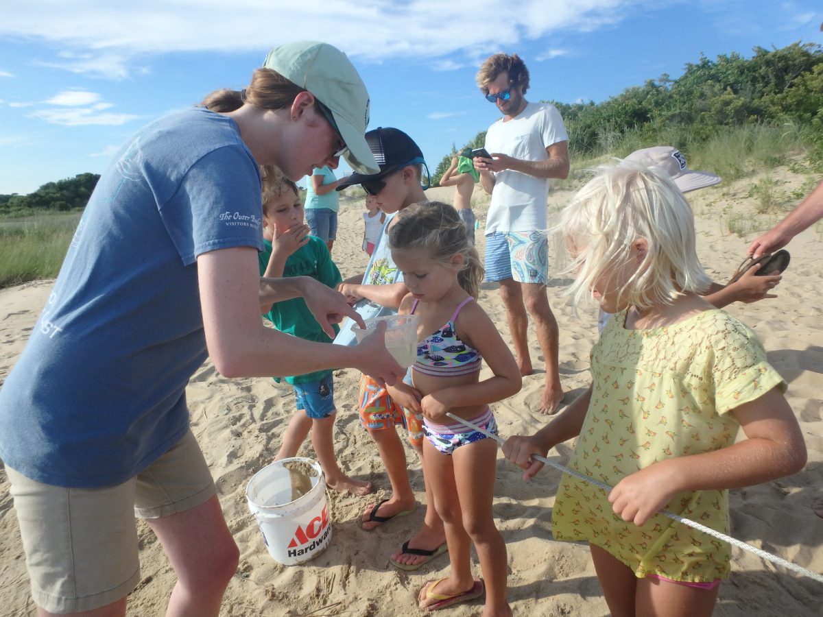 Wanchese office intern develops monitoring applications