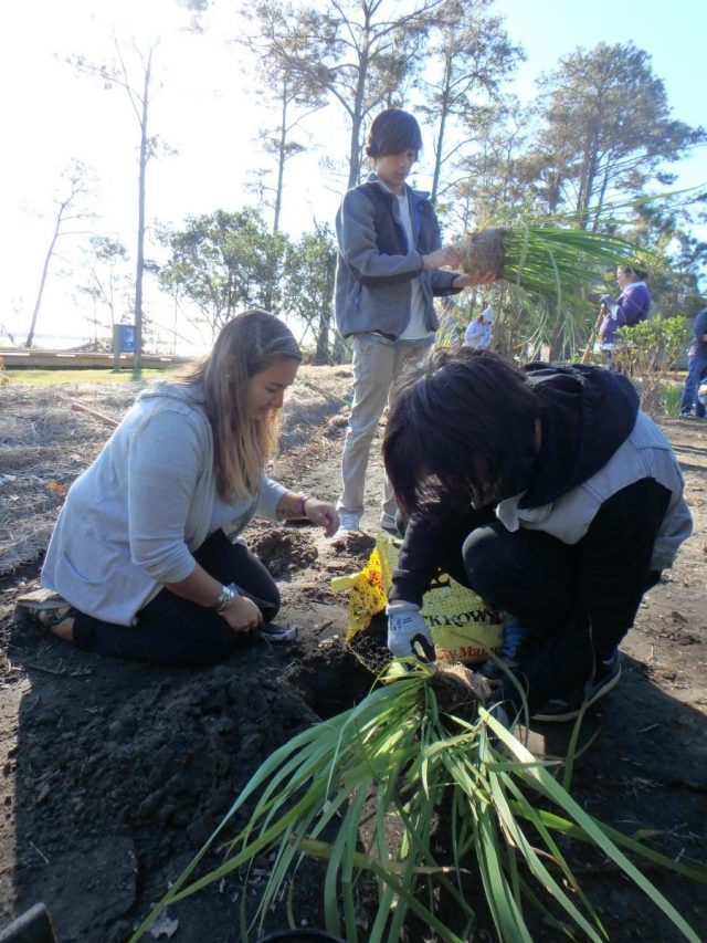 Roanoke Island Festival Park