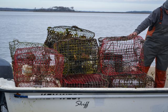 Recovered Crab Pots