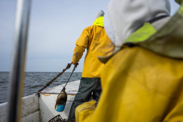 20190117_nccf_crb_pt_017