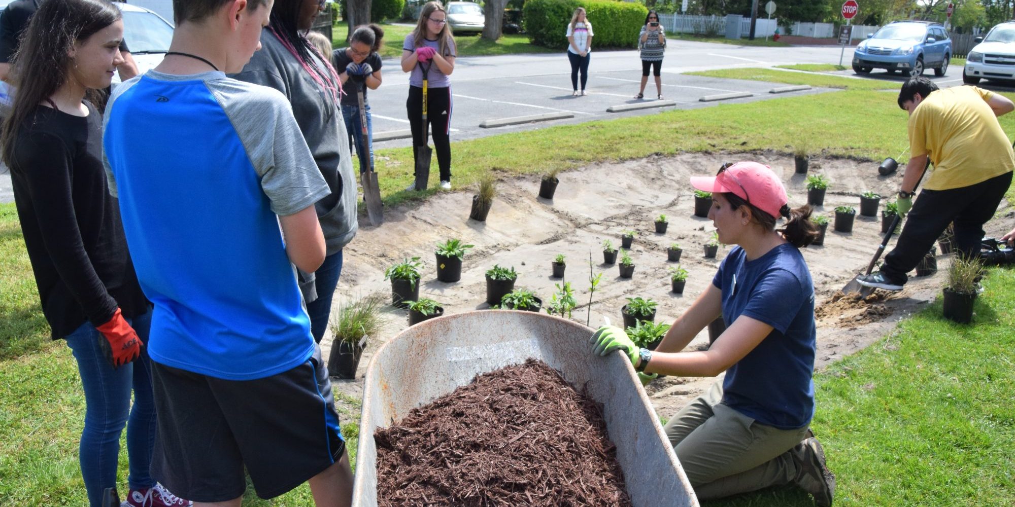 Swansboro rain garden