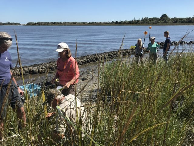 shot of marsh and shoreline