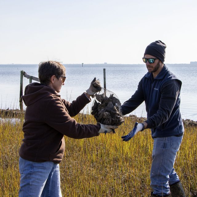 IMG_1522_edited_1-1 ratio