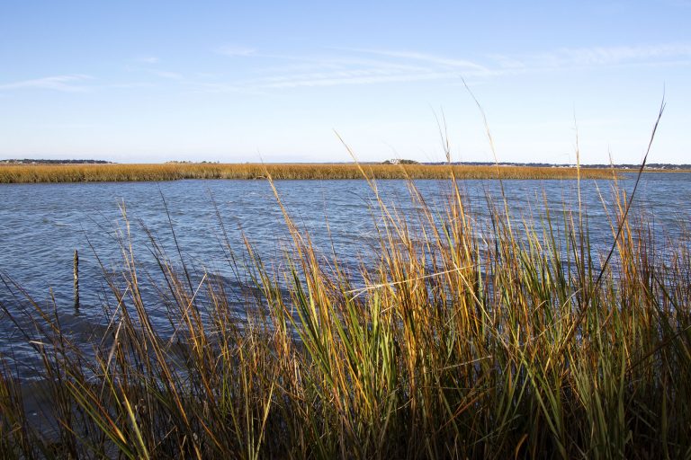 The Coast through 2019: A Year in Review