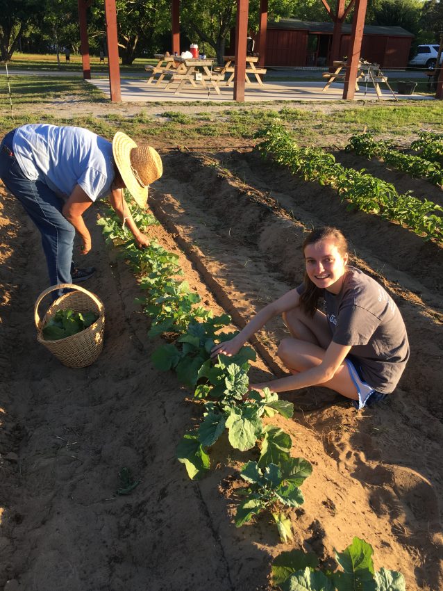 Earthwise Farm