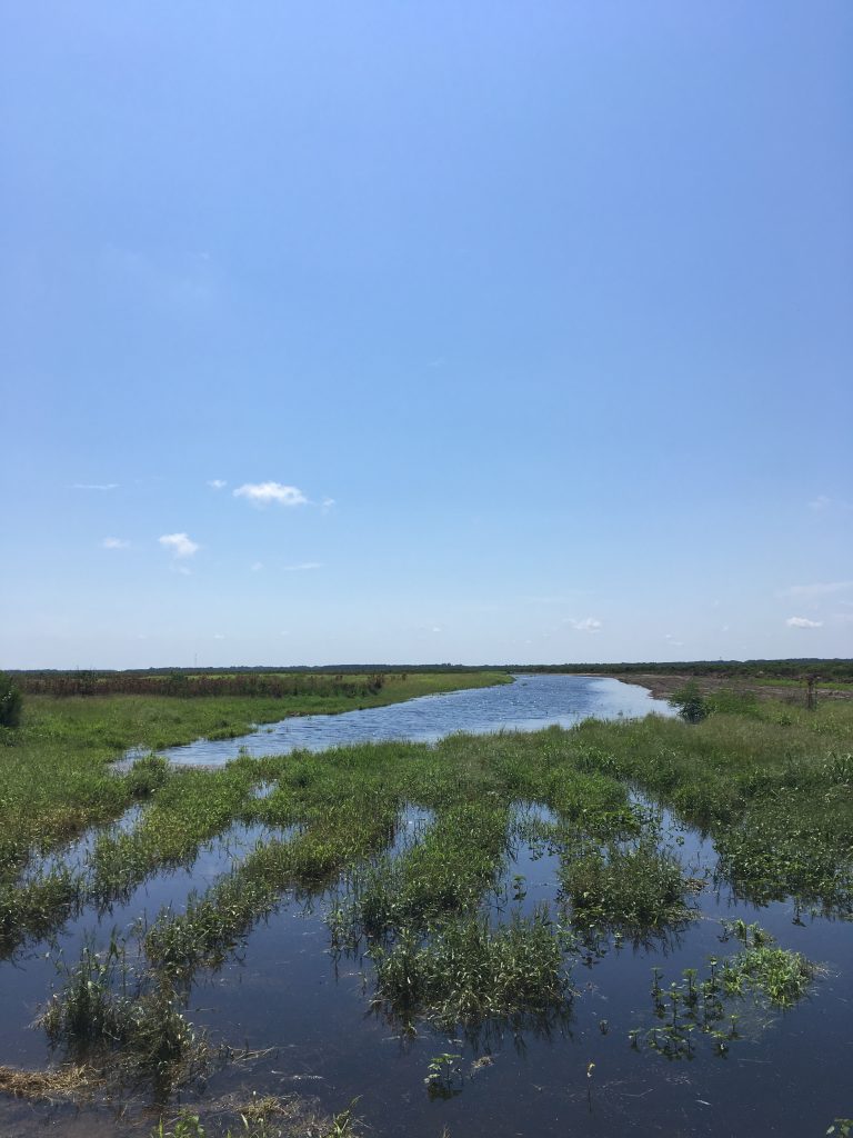 Large Scale Wetland Restoration (NRCS)
