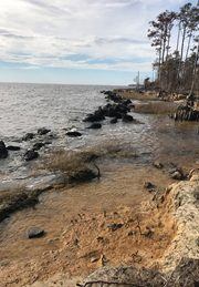 Old Oriental shoreline erosion Oriental Shoreline Prior to Construnctions