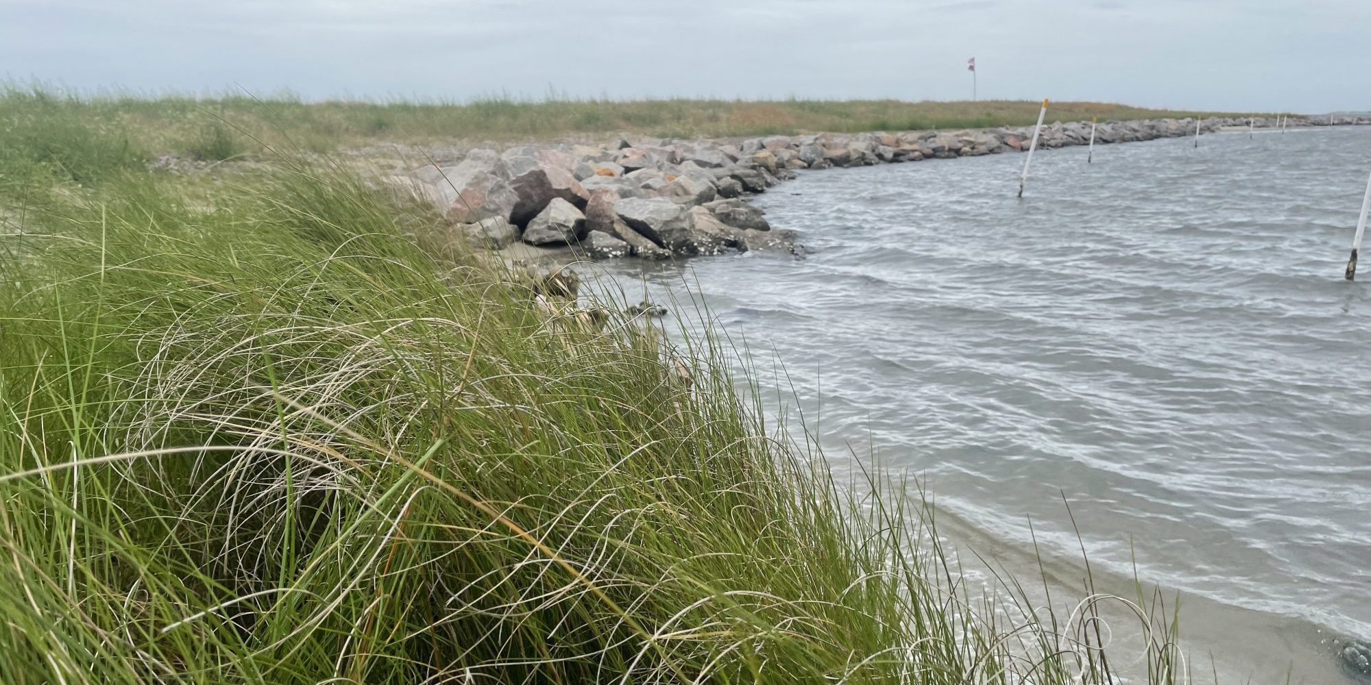 Atlantic White’s Point Living Shoreline Atlantic White's Point Living Shoreline