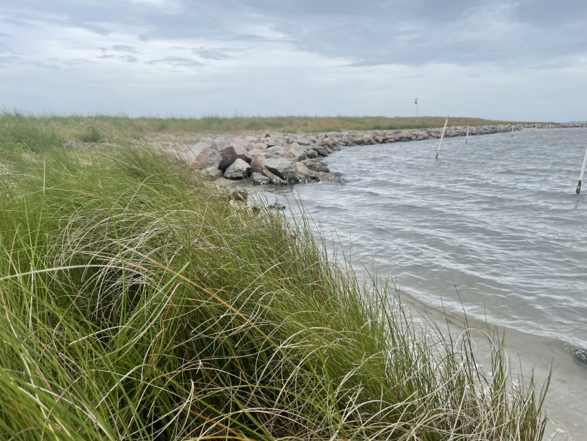 Atlantic White's Point Living Shoreline