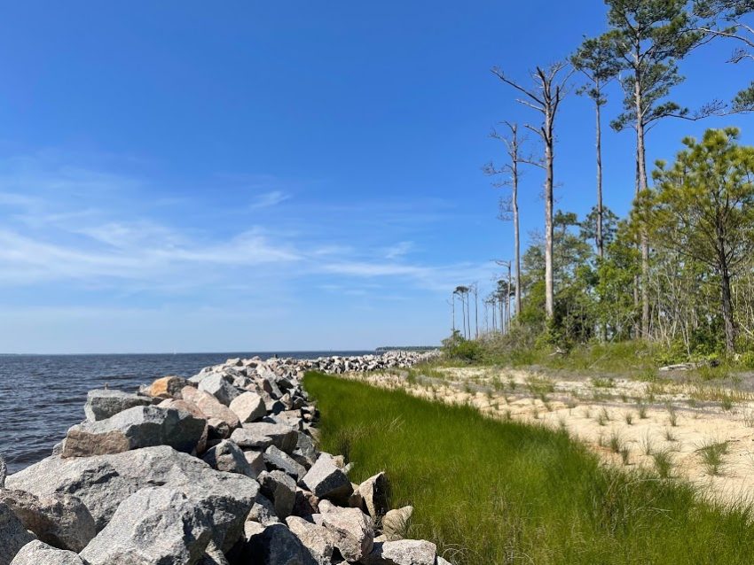 Oriental Living Shoreline Complete The completed Oriental living shoreline