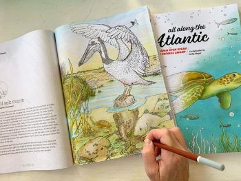 coloring-book-hand