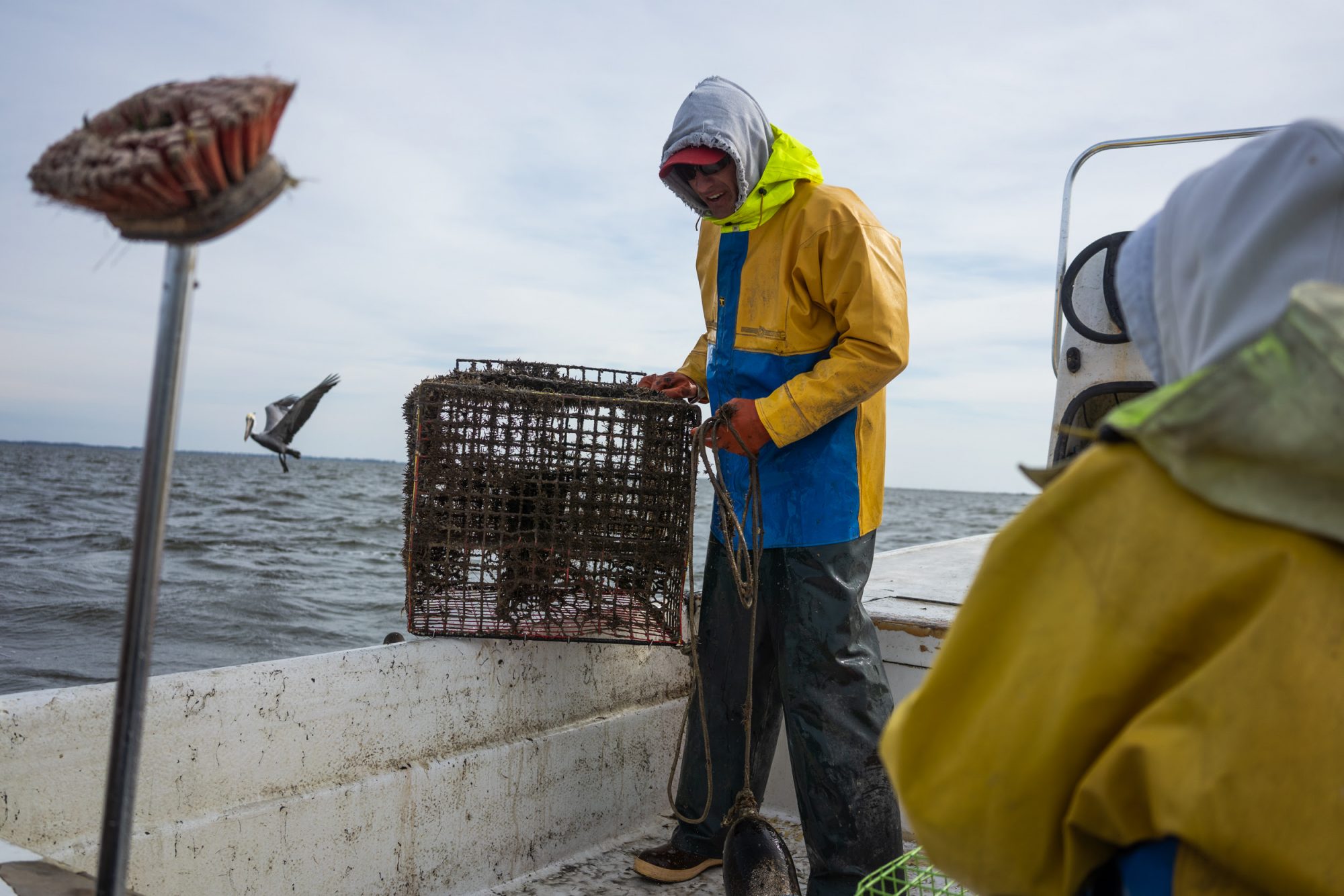 Commercial fishers needed to help remove lost fishing gear