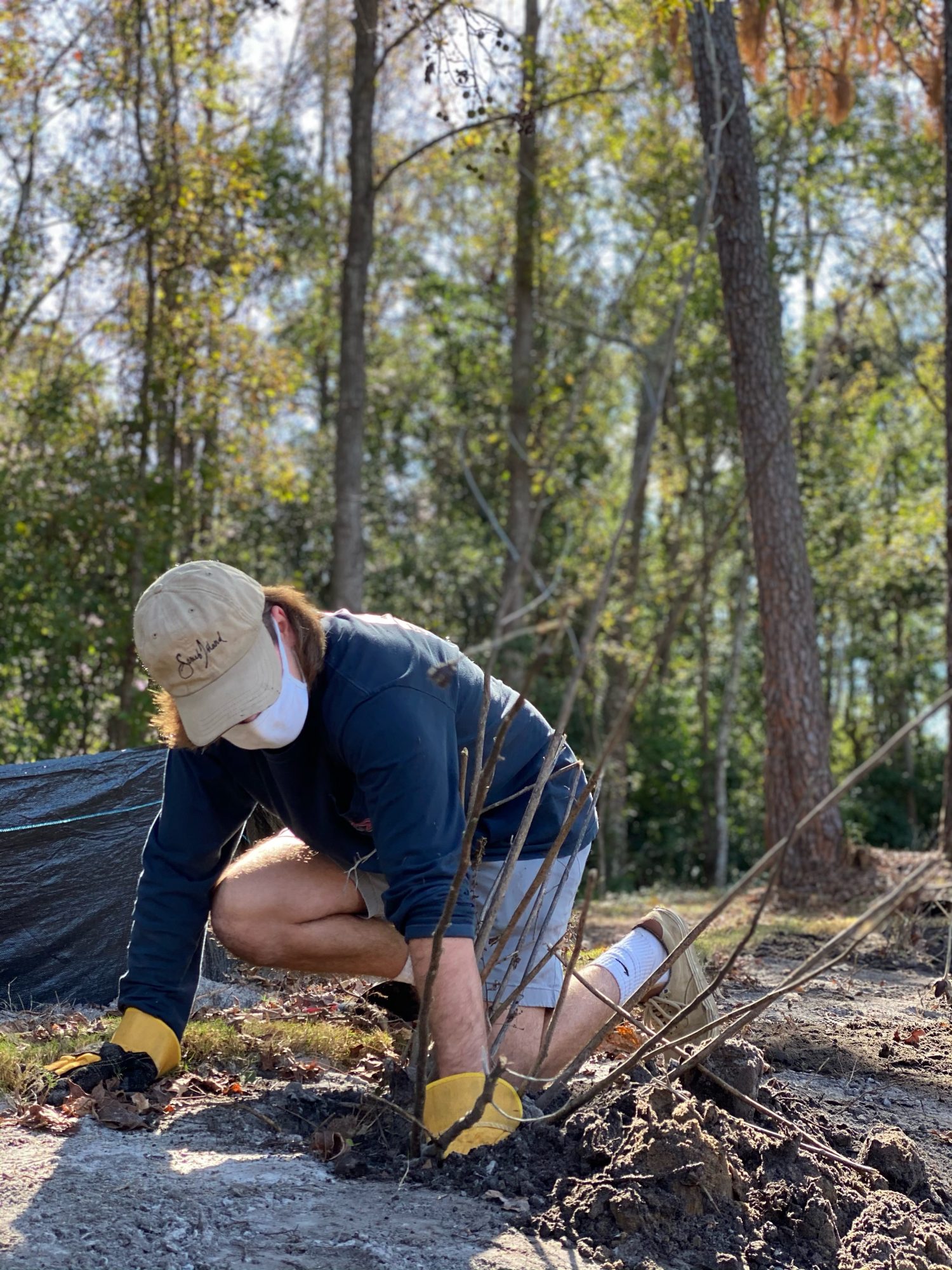UNCW Rain Garden Will Reduce 1 Million Gallons of Runoff North
