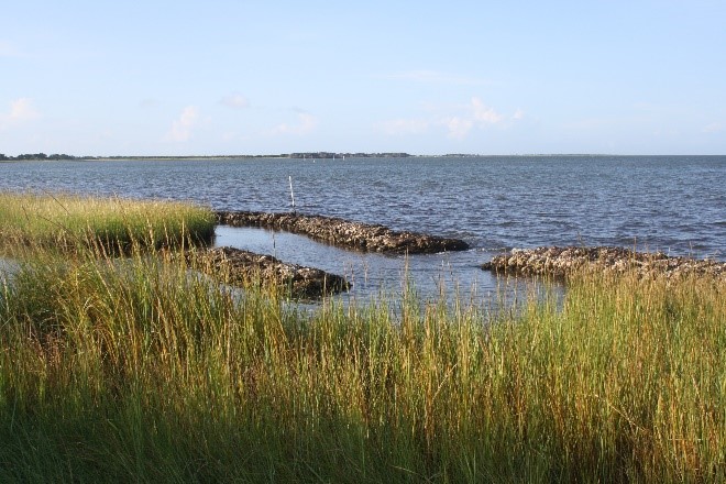 Oyster Patch Reef