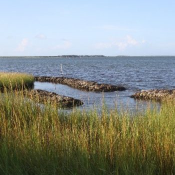 Patch Reef
