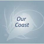 Our Coast