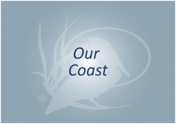 Our Coast