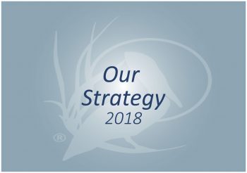 Our Strategy 2018