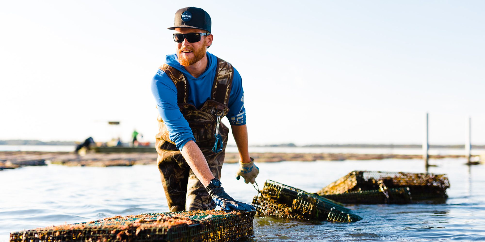 Oyster Mariculture Oyster farmer working on oyster lease
