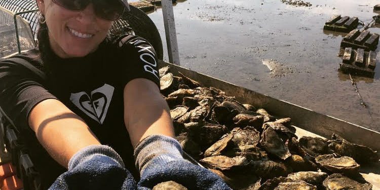 Oyster Farmers Oyster farmer working on oyster lease