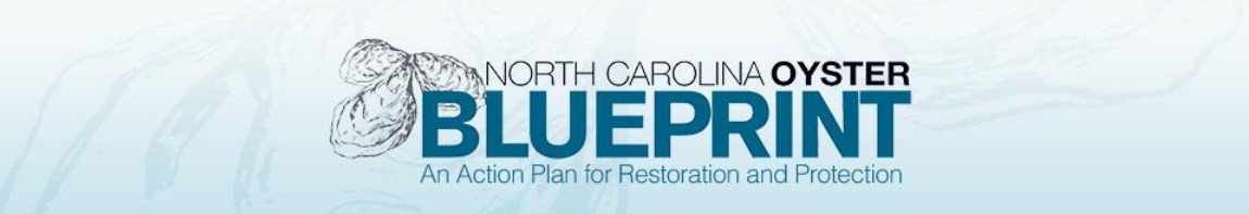 NC Oyster BluePrint