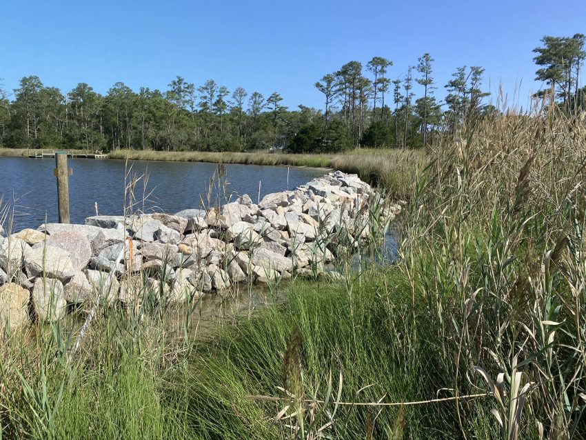 The living shoreline at Whittaker Pointe in Oriental