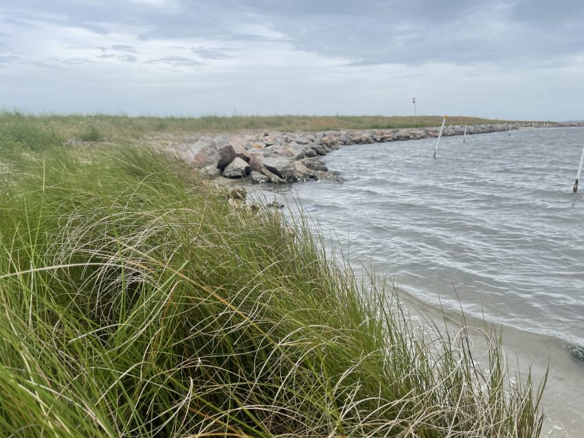 The living shoreline at White Point in Atlantic Harbor