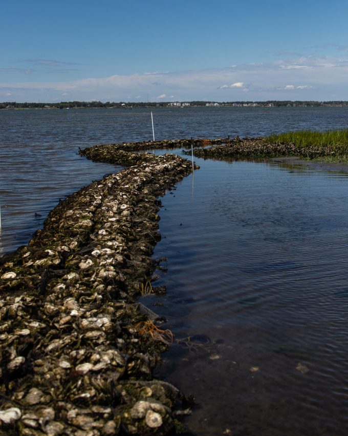 Pine Knoll Shores Living Shoreline