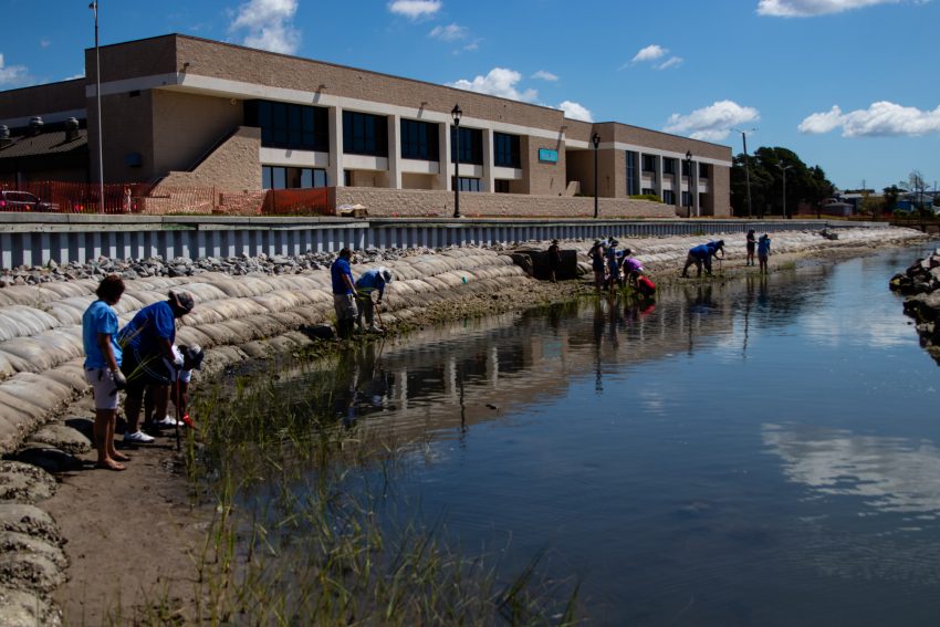 The living shoreline alongside Carteret Community College