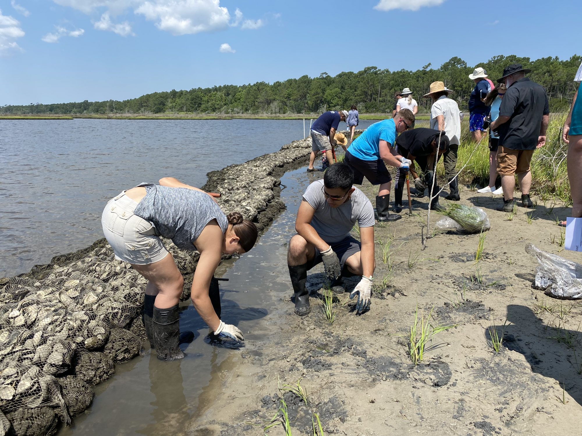 Living Shoreline Marine Construction Training