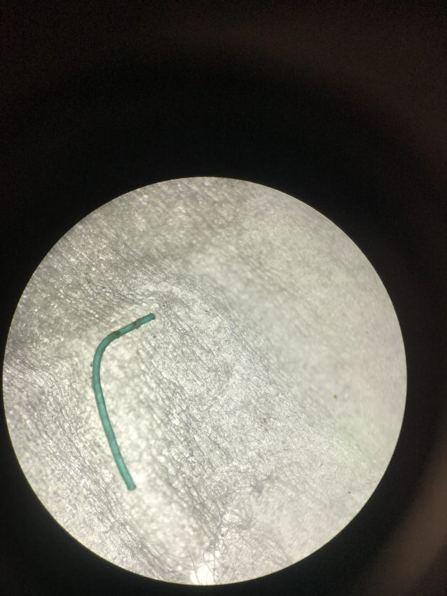 Monofilament Fishing Line Microscopic image of a fishing line found in the gastrointestinal tract of a Bahamian fish.