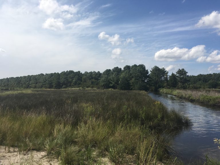 North River Wetlands Preserve