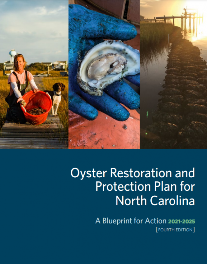 Oyster Blueprint 2021-2025