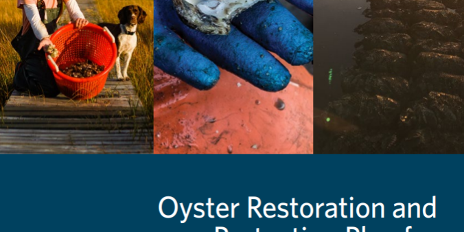 Oyster Blueprint 2021-2025
